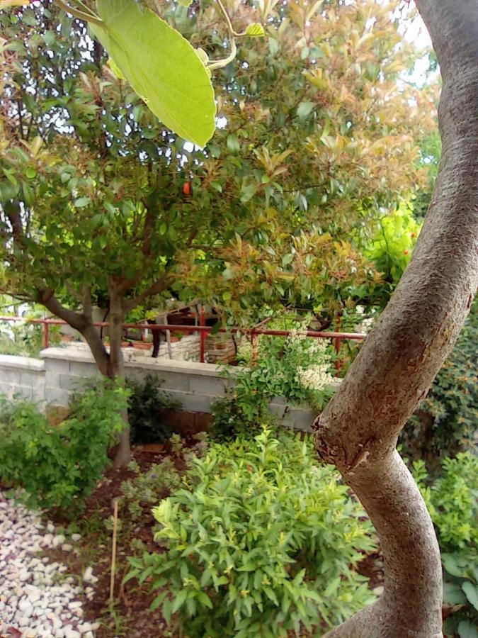 Apartments Anica Πούλα Εξωτερικό φωτογραφία