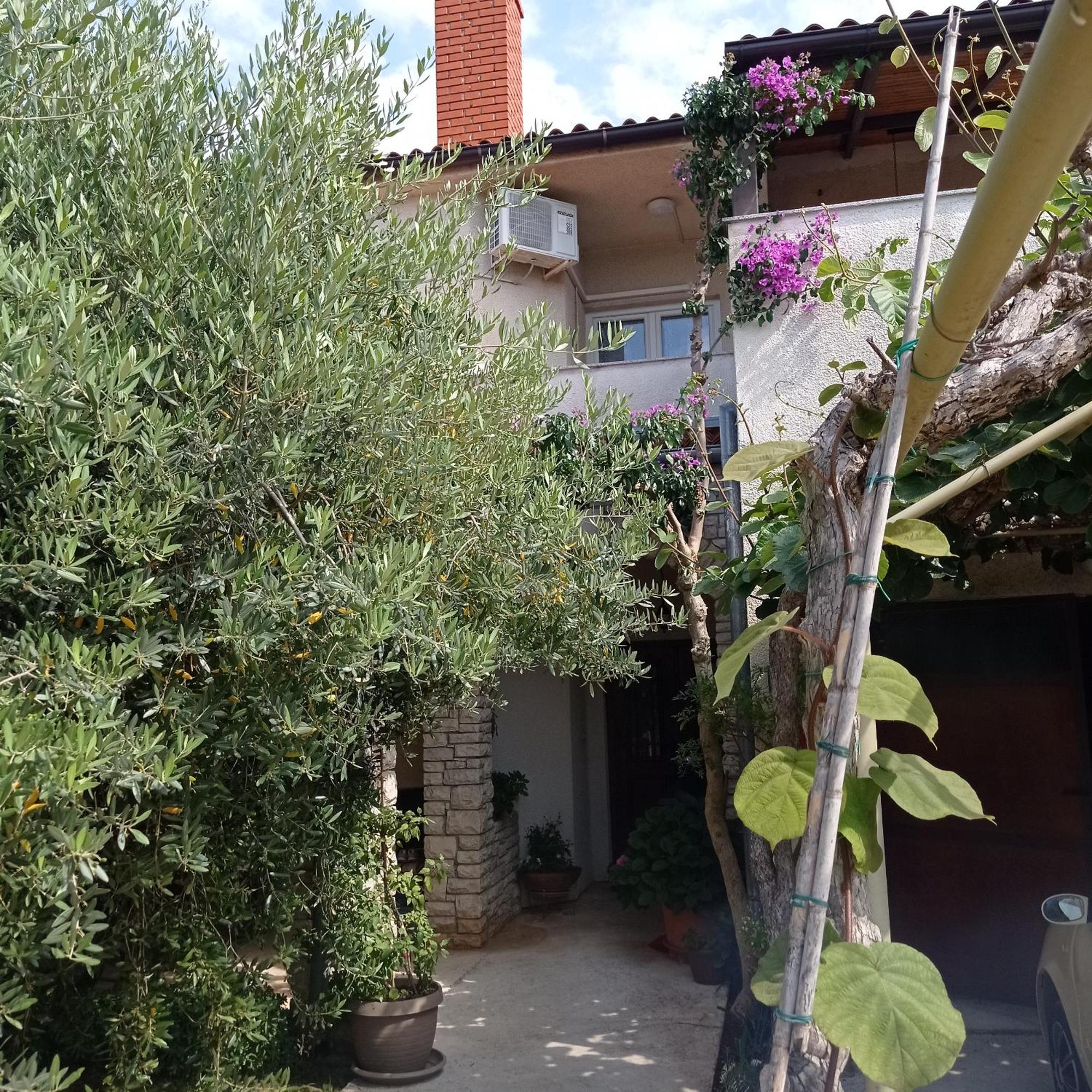 Apartments Anica Πούλα Εξωτερικό φωτογραφία