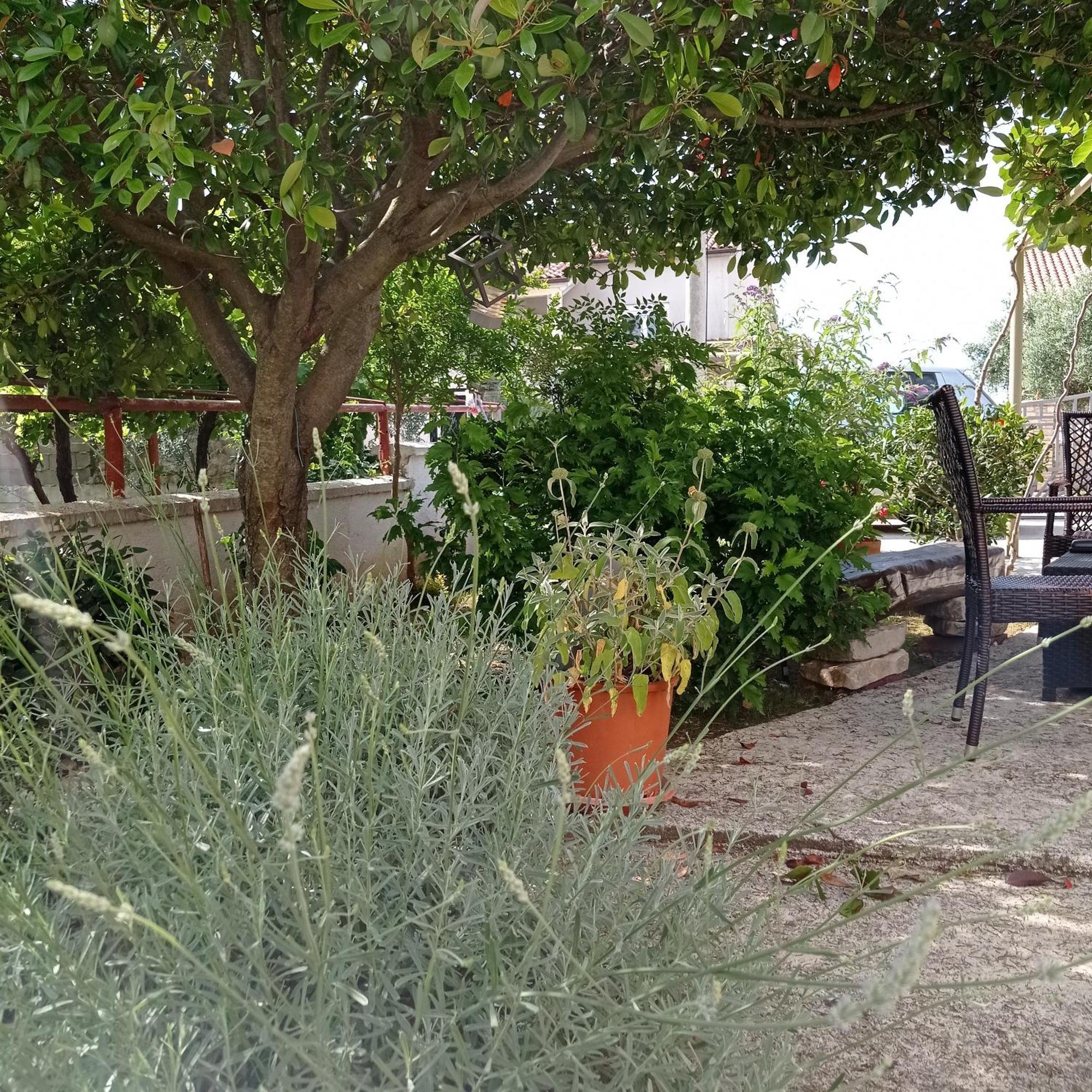 Apartments Anica Πούλα Εξωτερικό φωτογραφία